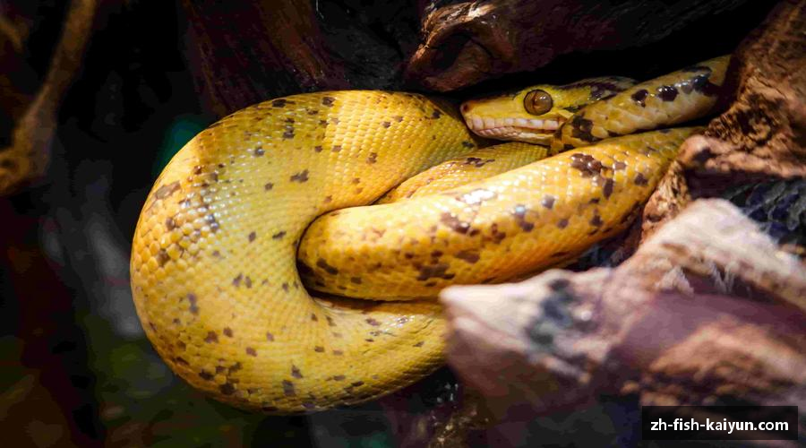 携手共进，齐心迈向成功！